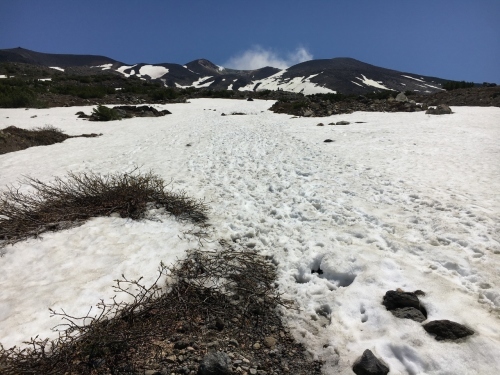 望岳台から雲の平まで_e0326953_19205783.jpg
