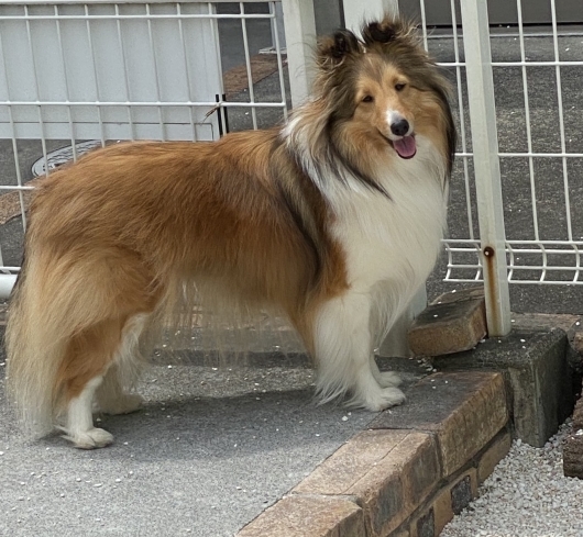 ファミリーの方々からのお写真です。_f0126965_20280461.jpg
