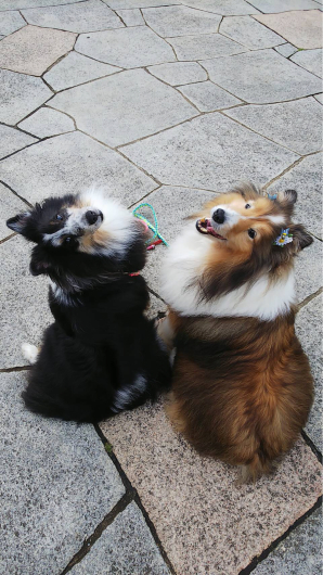 ファミリーの方々からのお写真です。_f0126965_20280726.jpg