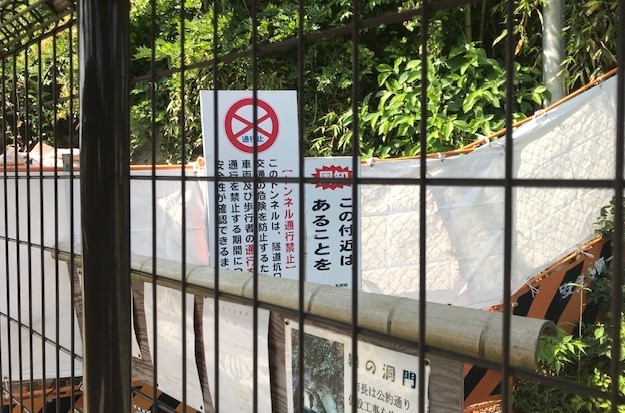 4団体の要望書に松尾鎌倉市長が回答：緑の洞門通行禁止5・29_c0014967_06420623.jpg