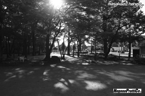【おっ散歩カメラ放浪記:第8回】勝山公園とトライ-X_b0008475_12023343.jpg
