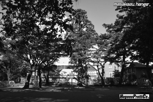 【おっ散歩カメラ放浪記:第8回】勝山公園とトライ-X_b0008475_12024643.jpg