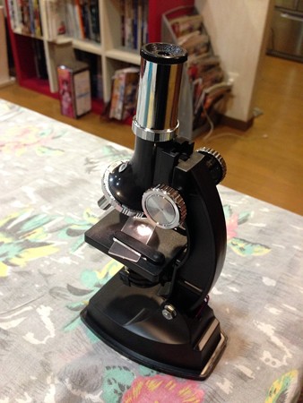 シーモンキー_c0404676_17250328.jpg