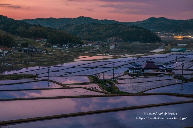 田植えの季節_d0148187_12215420.jpg