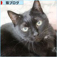 魔法の手_a0389088_11094507.jpg