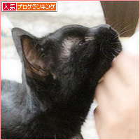 魔法の手_a0389088_11094614.jpg