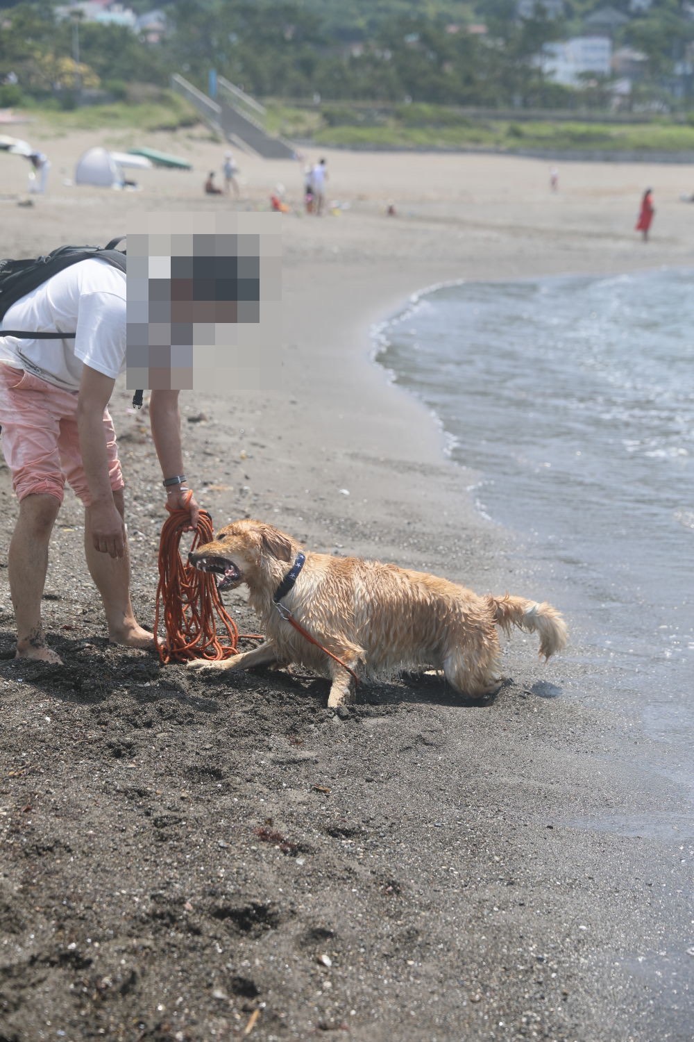姉妹揃って初泳ぎ(2)_b0275998_08414145.jpg
