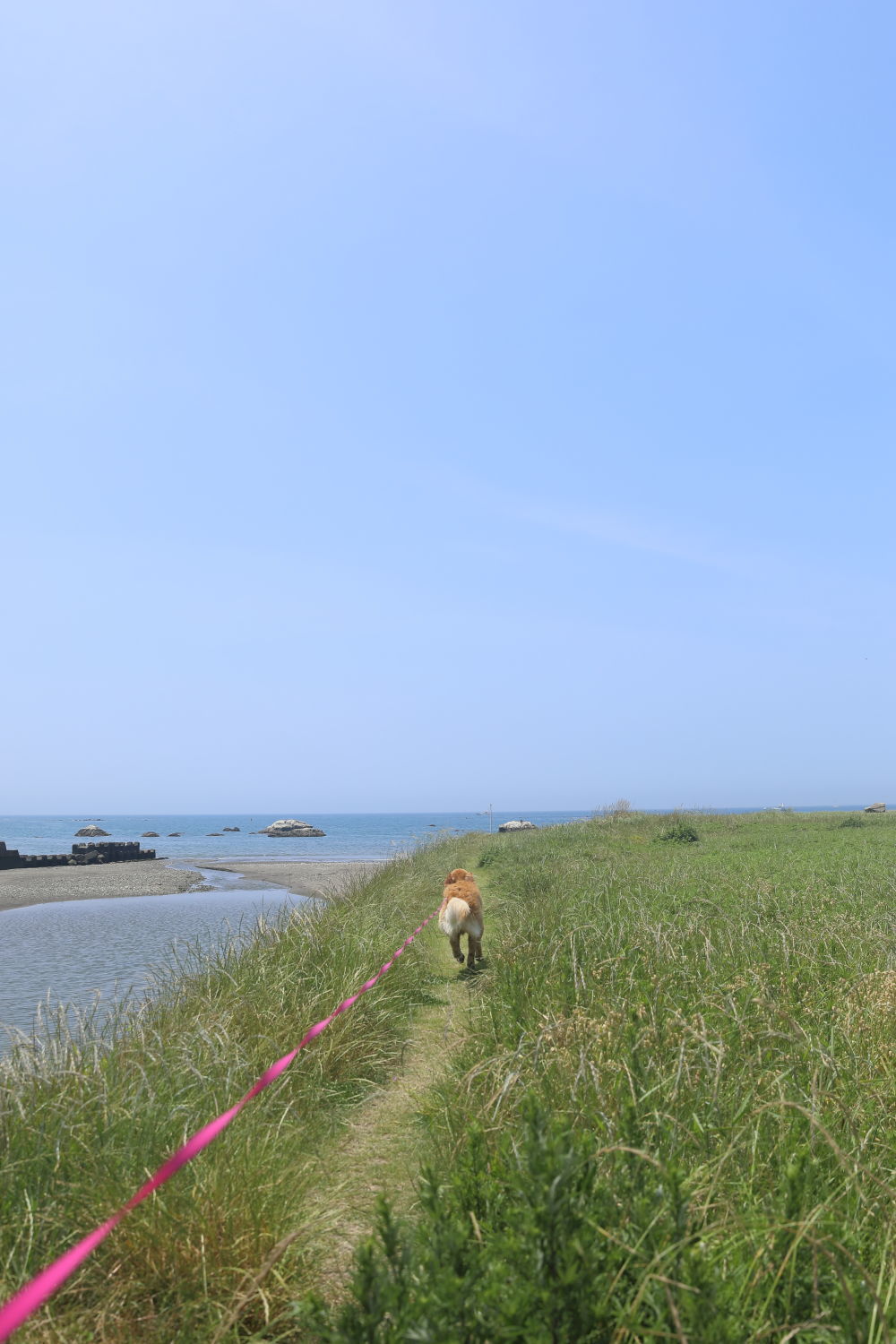 姉妹揃って初泳ぎ(2)_b0275998_08425498.jpg