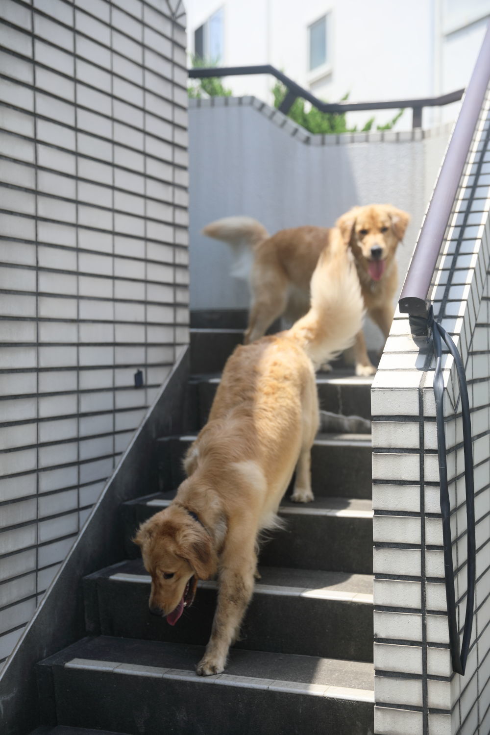 姉妹揃って初泳ぎ(2)_b0275998_08515077.jpg
