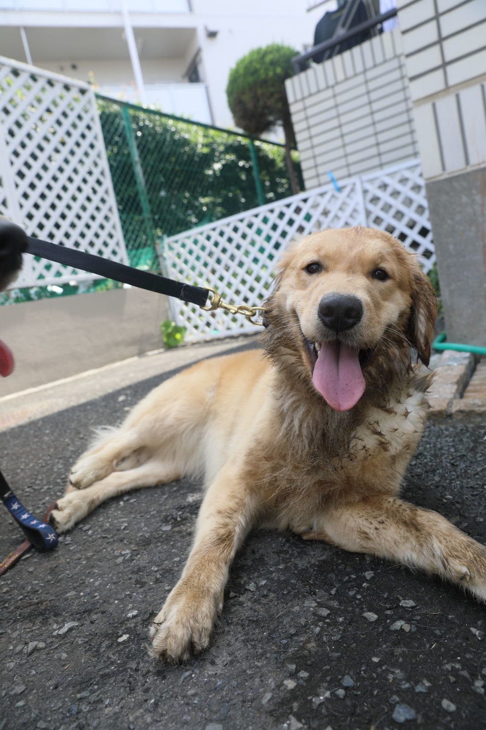 姉妹揃って初泳ぎ(2)_b0275998_08552824.jpg