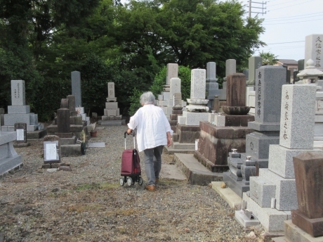薪始末・墓始末・ねこの木、後ろ姿など_a0203003_22533909.jpg