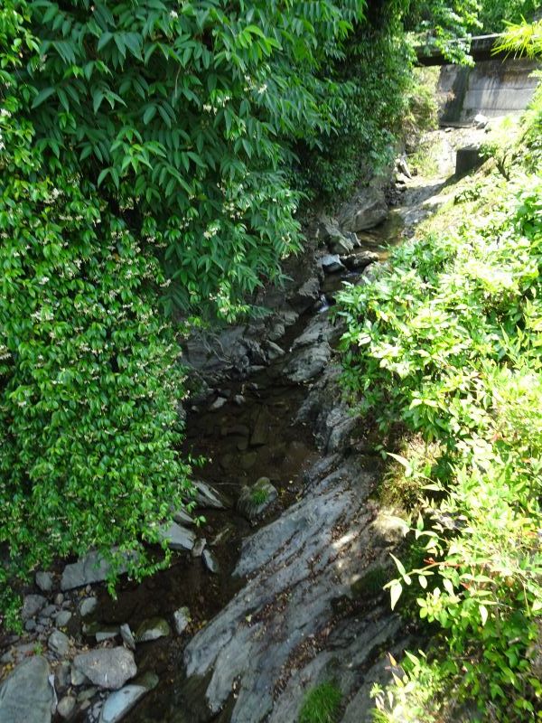 橋本・隅田駅から中将姫の故地を歩く／Walking in the village of Chujo-hime from Suda Statin in Hashimoto City_d0360104_22235648.jpg