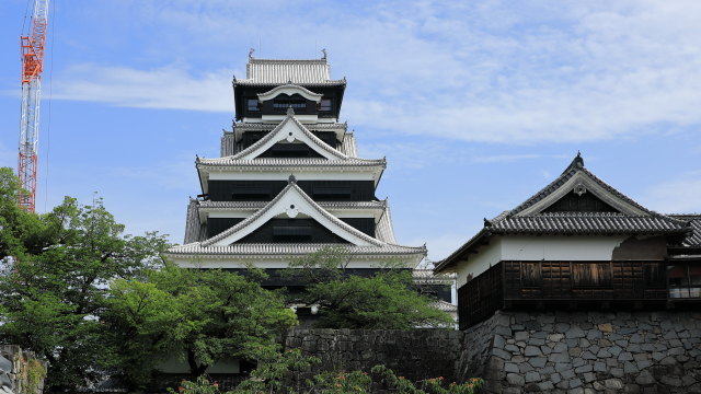 熊本城特別公開第2弾（令和2年6月4日撮）_a0065511_16550666.jpg