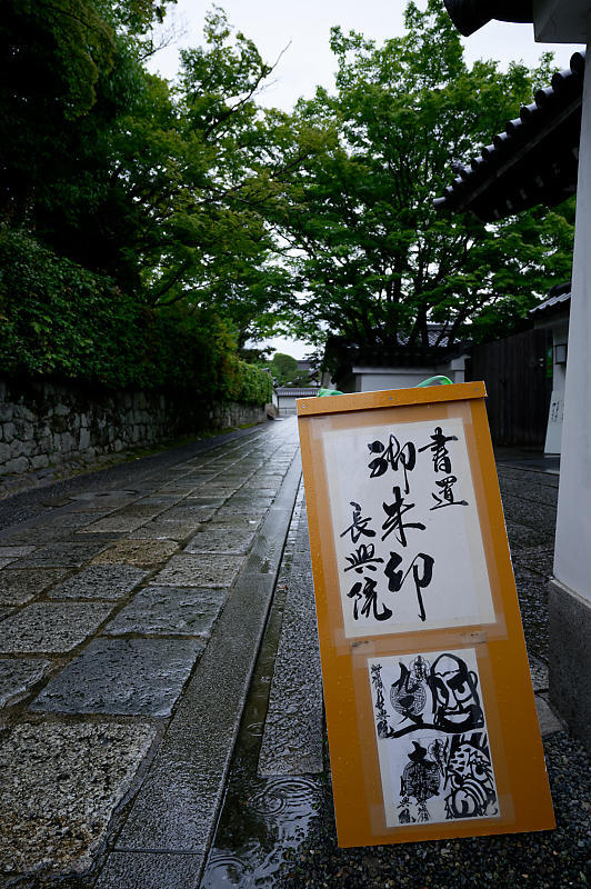 青葉巡り@妙心寺塔頭 桂春院・其の一_f0032011_21025632.jpg