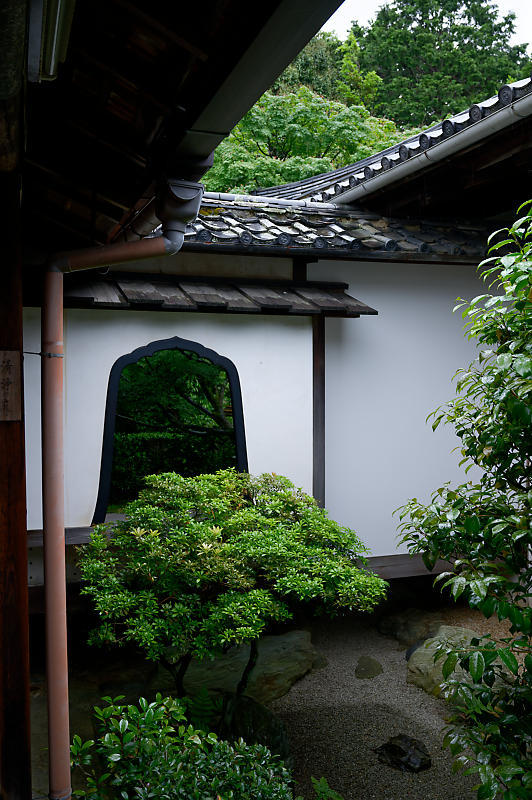 青葉巡り@妙心寺塔頭 桂春院・其の一_f0032011_21025798.jpg