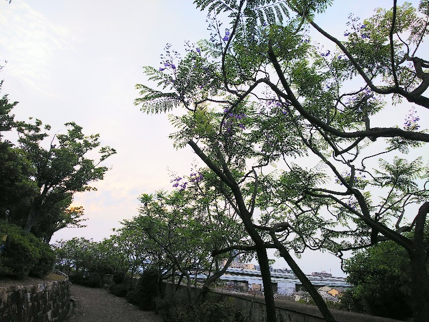 八幡屋公園_a0098418_17105674.jpg