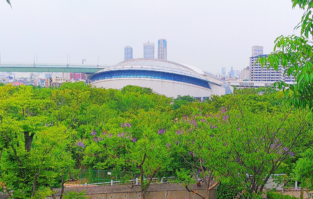 八幡屋公園_a0098418_17133433.jpg