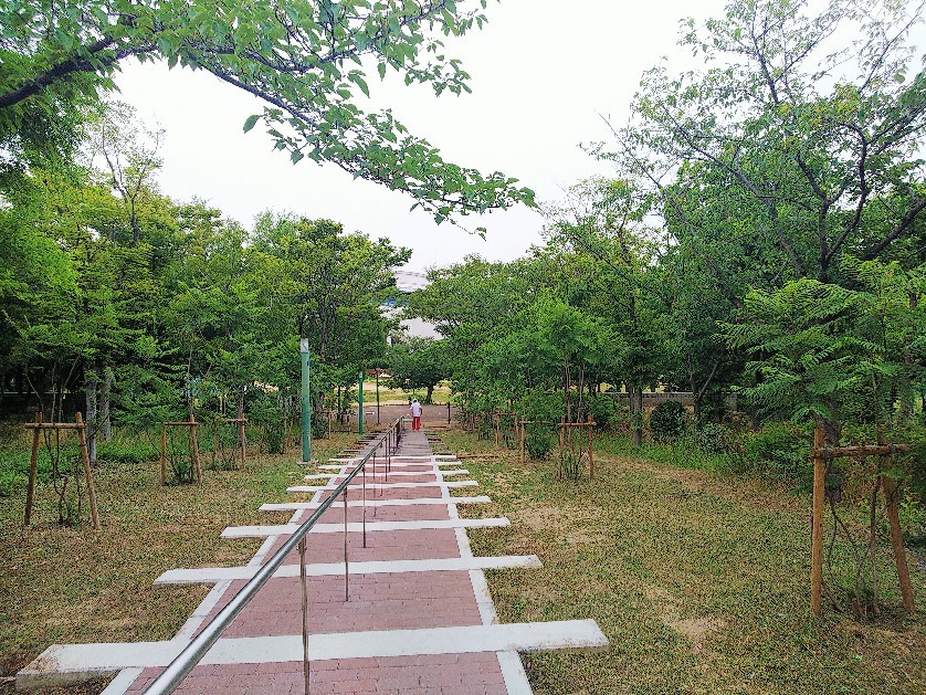 八幡屋公園_a0098418_17133507.jpg