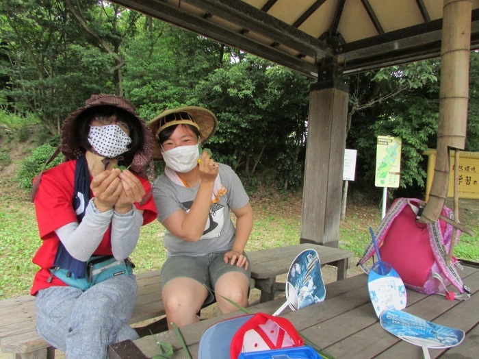 田植えが終わりました。_b0175921_06581355.jpg