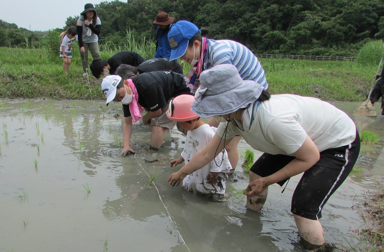 田植えが終わりました。_b0175921_07004097.jpg