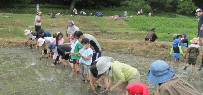 田植えが終わりました。_b0175921_07030193.jpg
