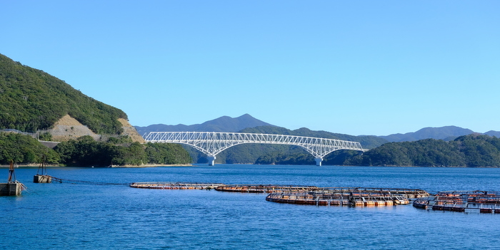 「長崎・上五島 龍観山展望台、はまぐりデッキ、奈良尾神社のあこう樹」_a0000029_10380634.jpg