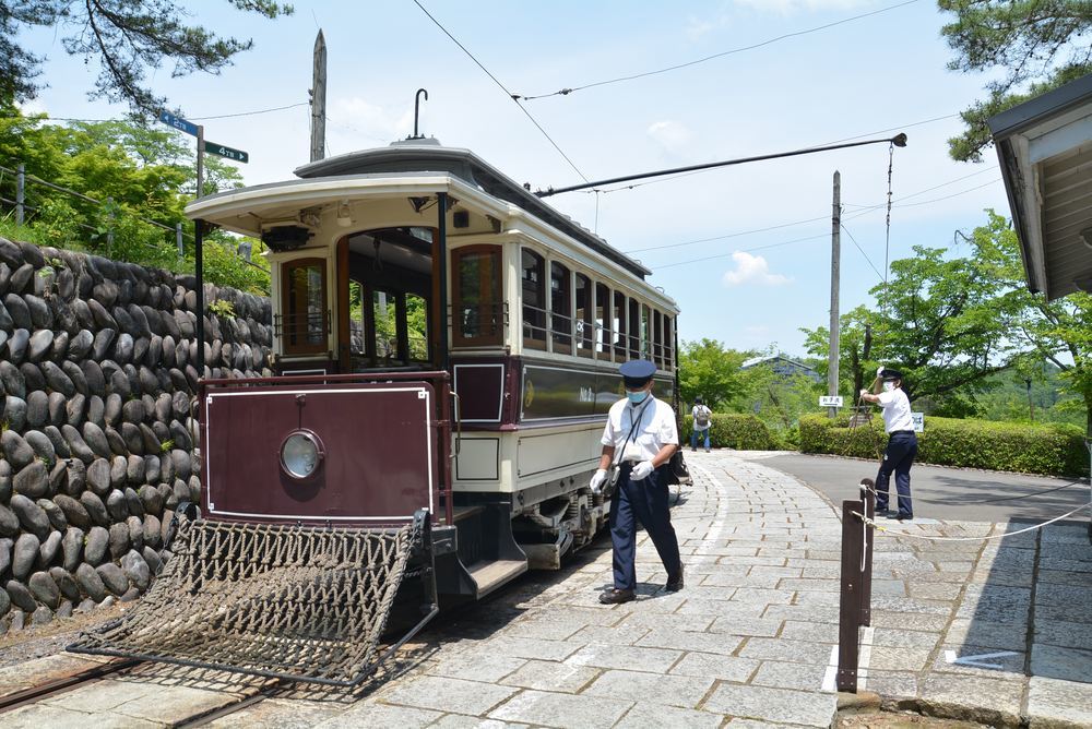 京都市電名古屋電停の新緑2_e0373930_15344205.jpg
