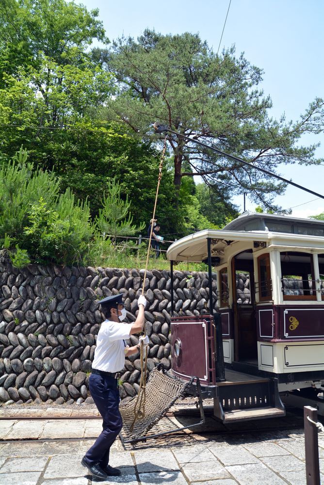 京都市電名古屋電停の新緑2_e0373930_15344290.jpg