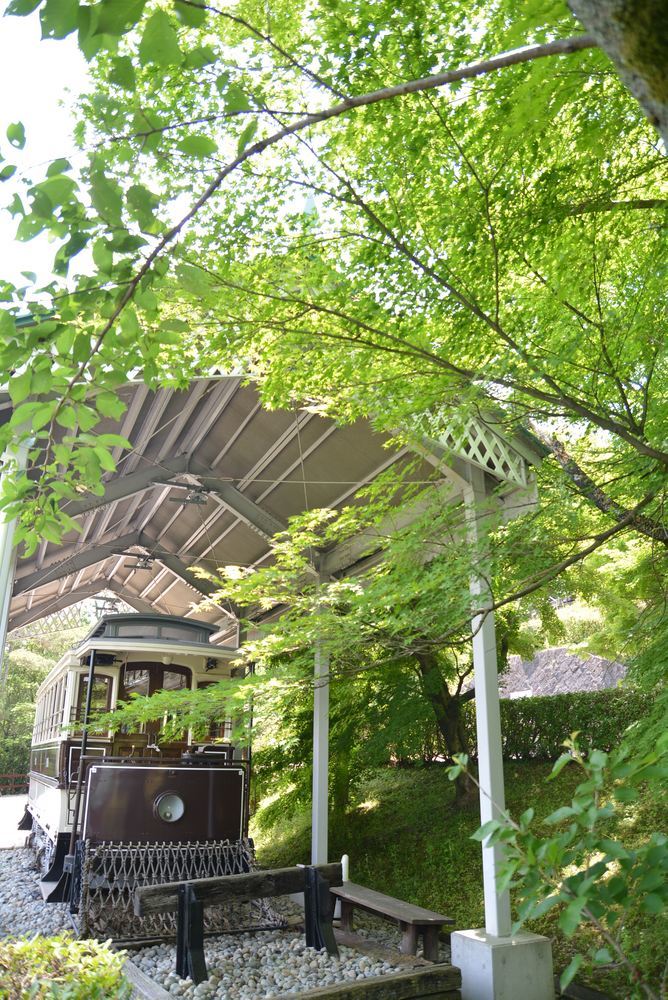 京都市電壱号と新緑2020_e0373930_15345899.jpg