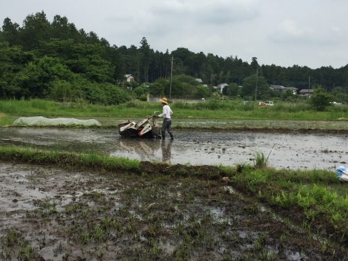 梅雨前に_c0331145_20283237.jpg