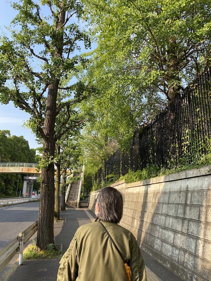 少しずつ、新しい日々へ_c0113755_01190580.jpeg