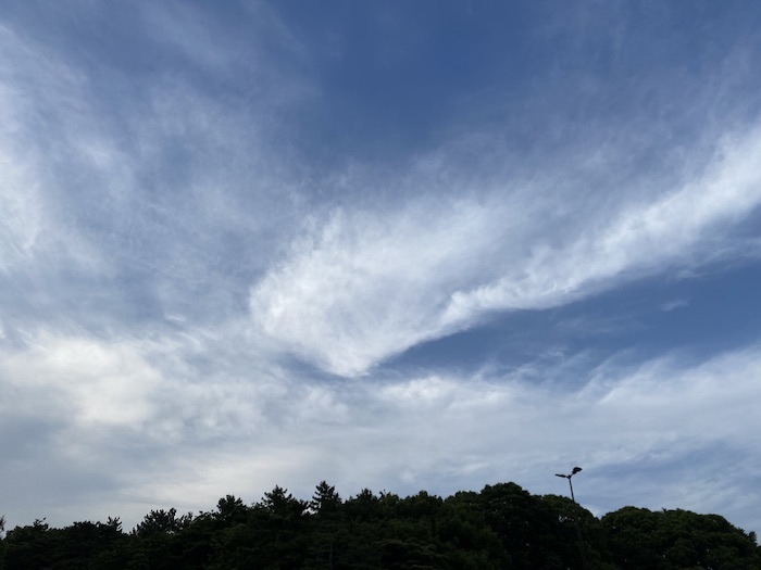 少しずつ、新しい日々へ_c0113755_01190631.jpeg