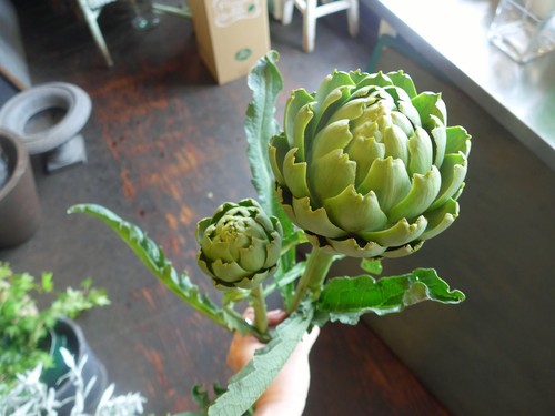 花修行~アーティチョークのアレンジメント~_f0232060_17214562.jpg