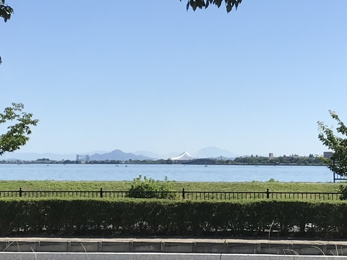 あと少しの辛抱でしょうか。_b0100062_16280010.jpeg