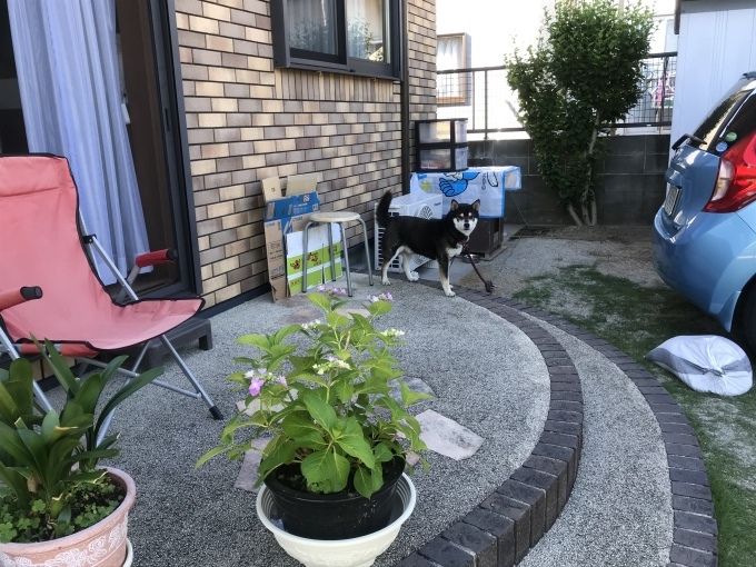 あと少しの辛抱でしょうか。_b0100062_16311030.jpeg