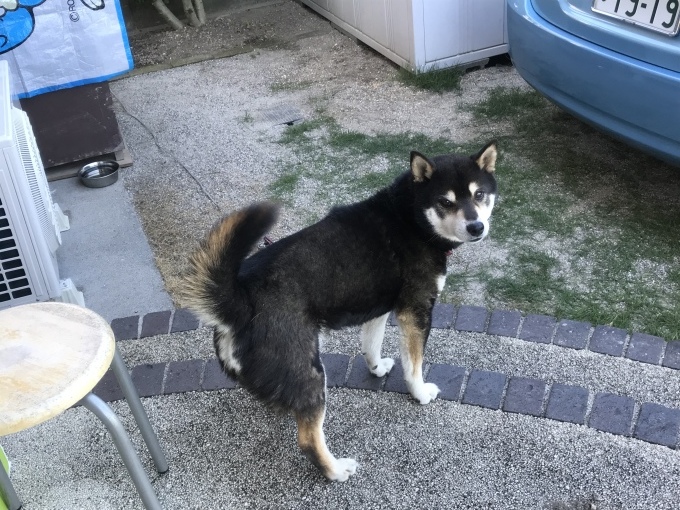 あと少しの辛抱でしょうか。_b0100062_17031275.jpeg