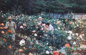 懐かしの写真2 昭和15年_f0168873_22484840.jpg