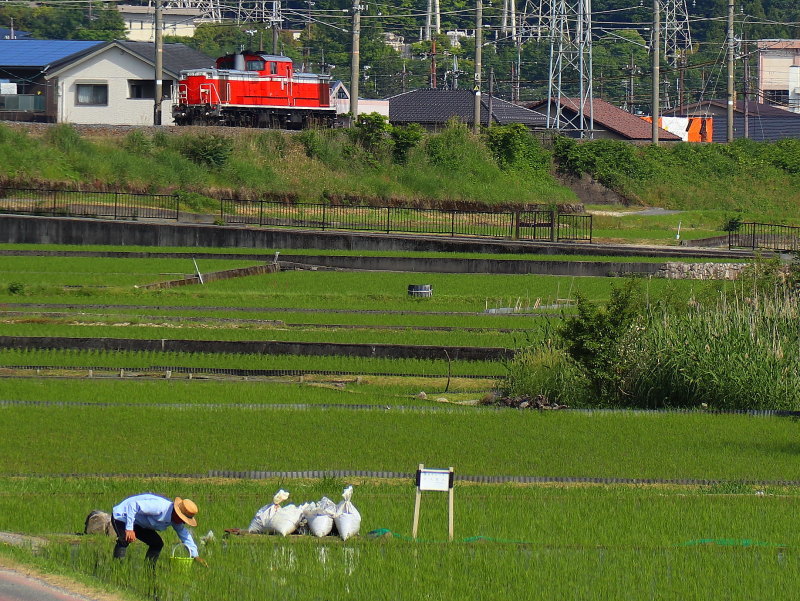 高島駅南_b0396087_08123315.jpg