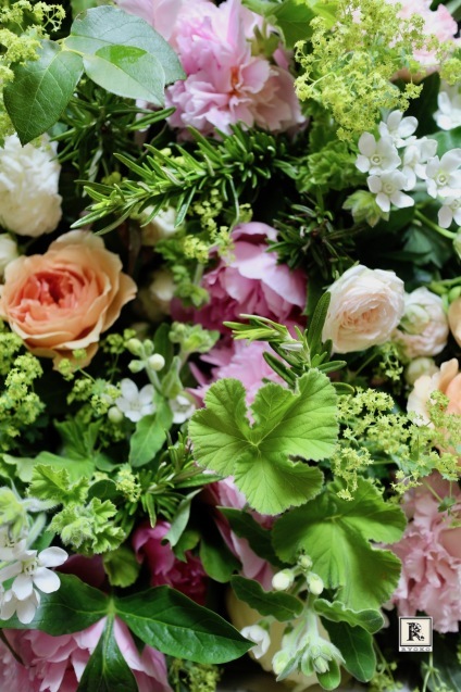 「季節のお花便り」 生命力ある花々と植物を お届け限定日 6月18日着・19日着 となります。_c0128489_14433855.jpg