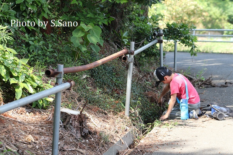 侍従川で3種のハゼ類の産卵地点調査と流域の里山（2020年6月）_b0348205_22042608.jpg