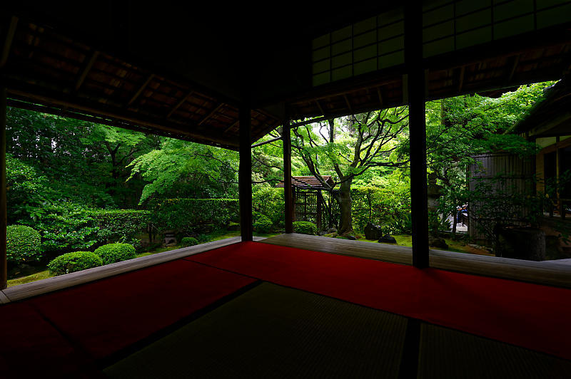 青葉巡り@妙心寺塔頭 桂春院・其の二_f0032011_19295550.jpg