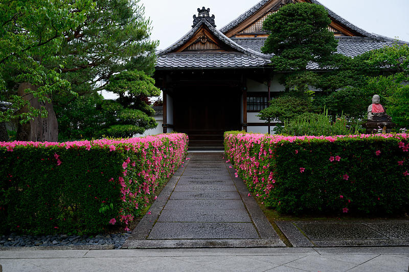 青葉巡り＠妙心寺塔頭　桂春院・其の二_f0032011_19314880.jpg