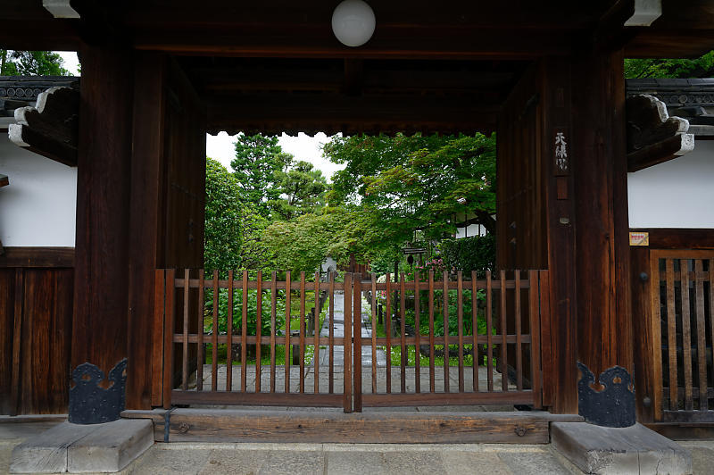 青葉巡り＠妙心寺塔頭　桂春院・其の二_f0032011_19314898.jpg