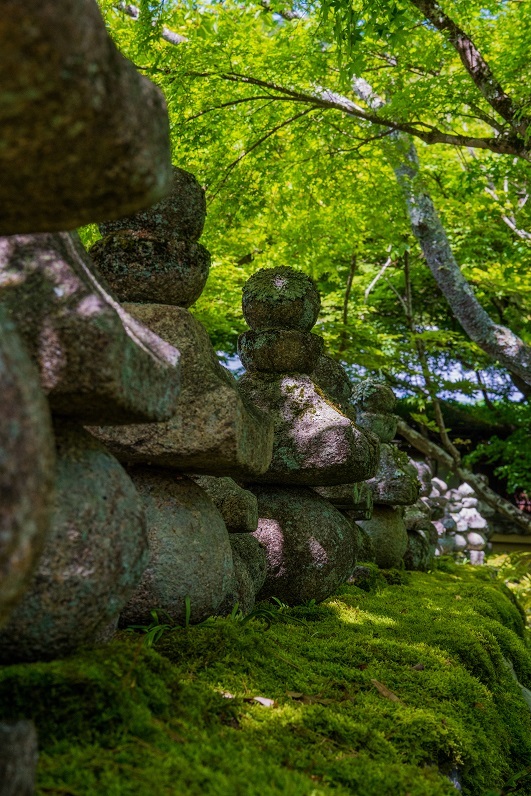 化野念仏寺の青もみじ_e0363038_11044029.jpg