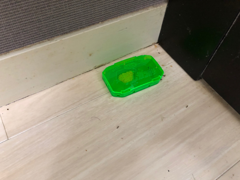 蟻との闘い…追記!_b0136045_11282192.jpg