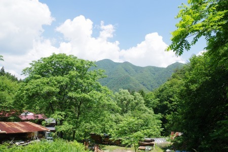 すっかり夏日です。_f0114346_07263722.jpg