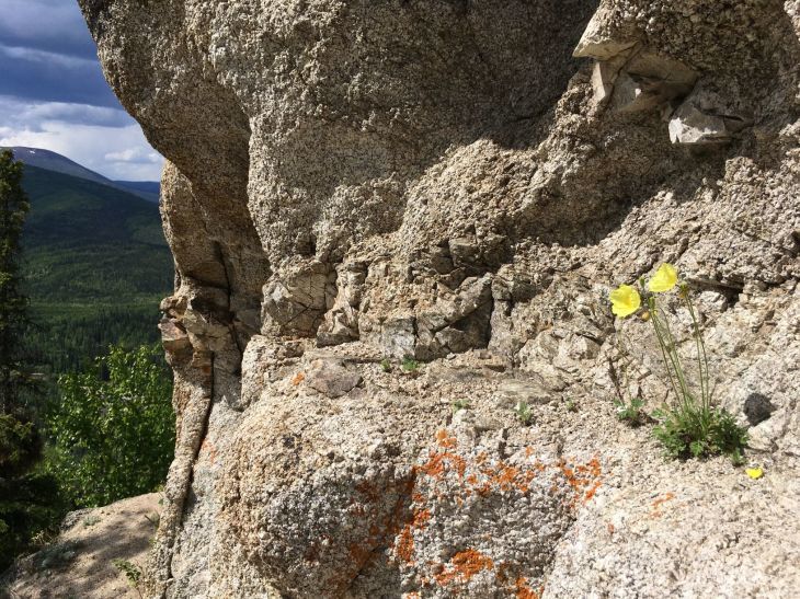 エンジェルロック・トレイル Angel Rocks Trail_b0135948_15185064.jpg