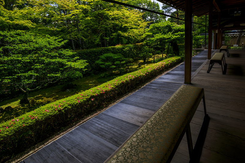 新緑まぶしい桂春院_f0155048_23551820.jpg