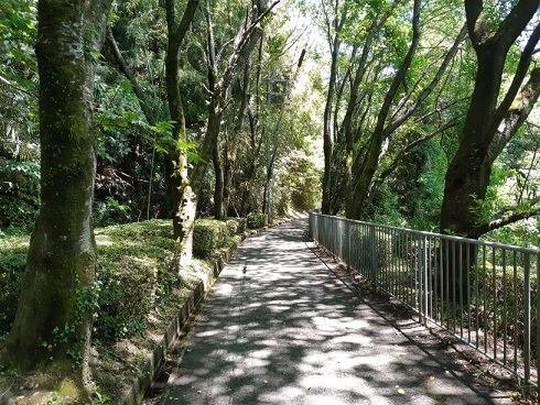 県境へ (往復 80Km超え)_b0138552_21083322.jpg