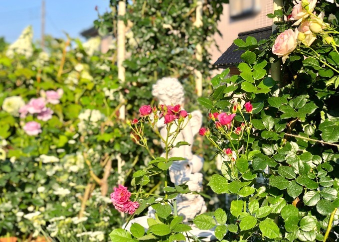 やっと終わった〜☆*:.｡. o(≧▽≦)o .｡.:*☆_a0396654_00341749.jpeg